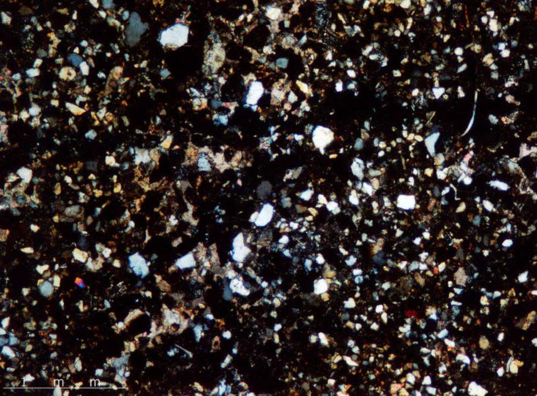 图3-1-4 含钙砂质石英粉砂岩